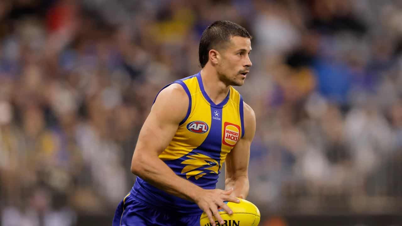 Eagles coach McQualter to ask AFL for please explain