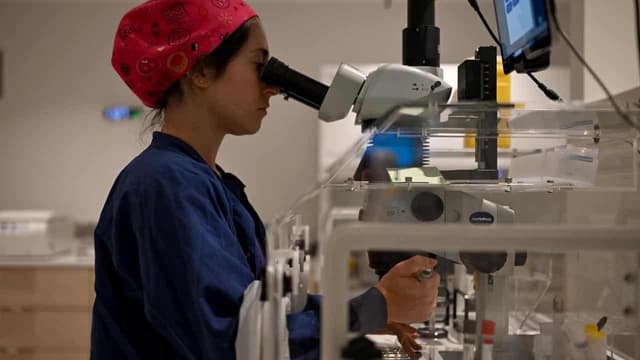 Patients seek reassurances after IVF mix ups