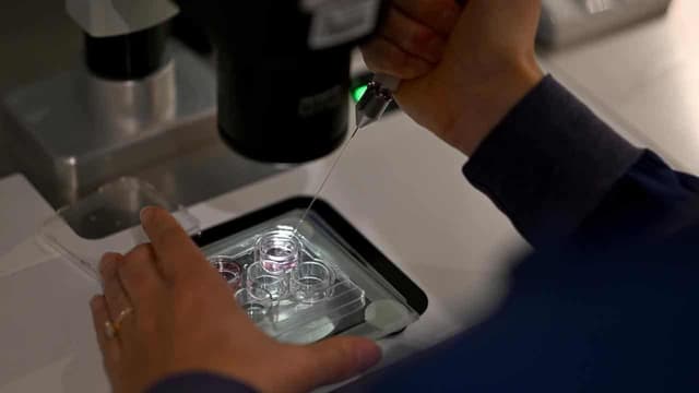 AI gives birth to fresh hope against male infertility