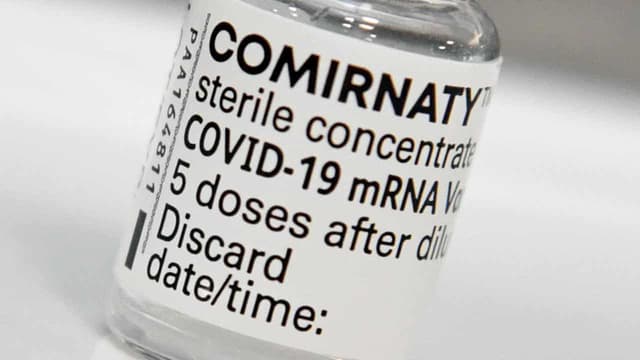 No, German study did not blame mRNA vaccines for excess pandemic deaths