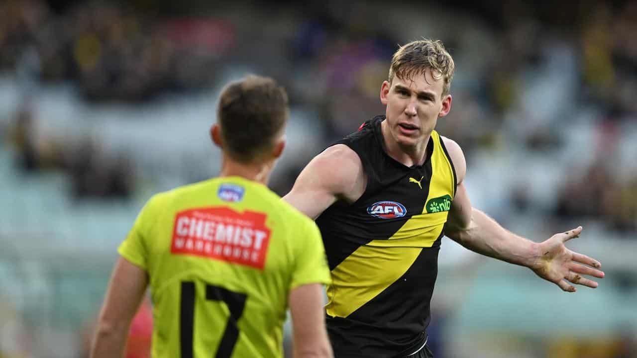 Lynch leaves giant hole in Tigers' attack for Cats test