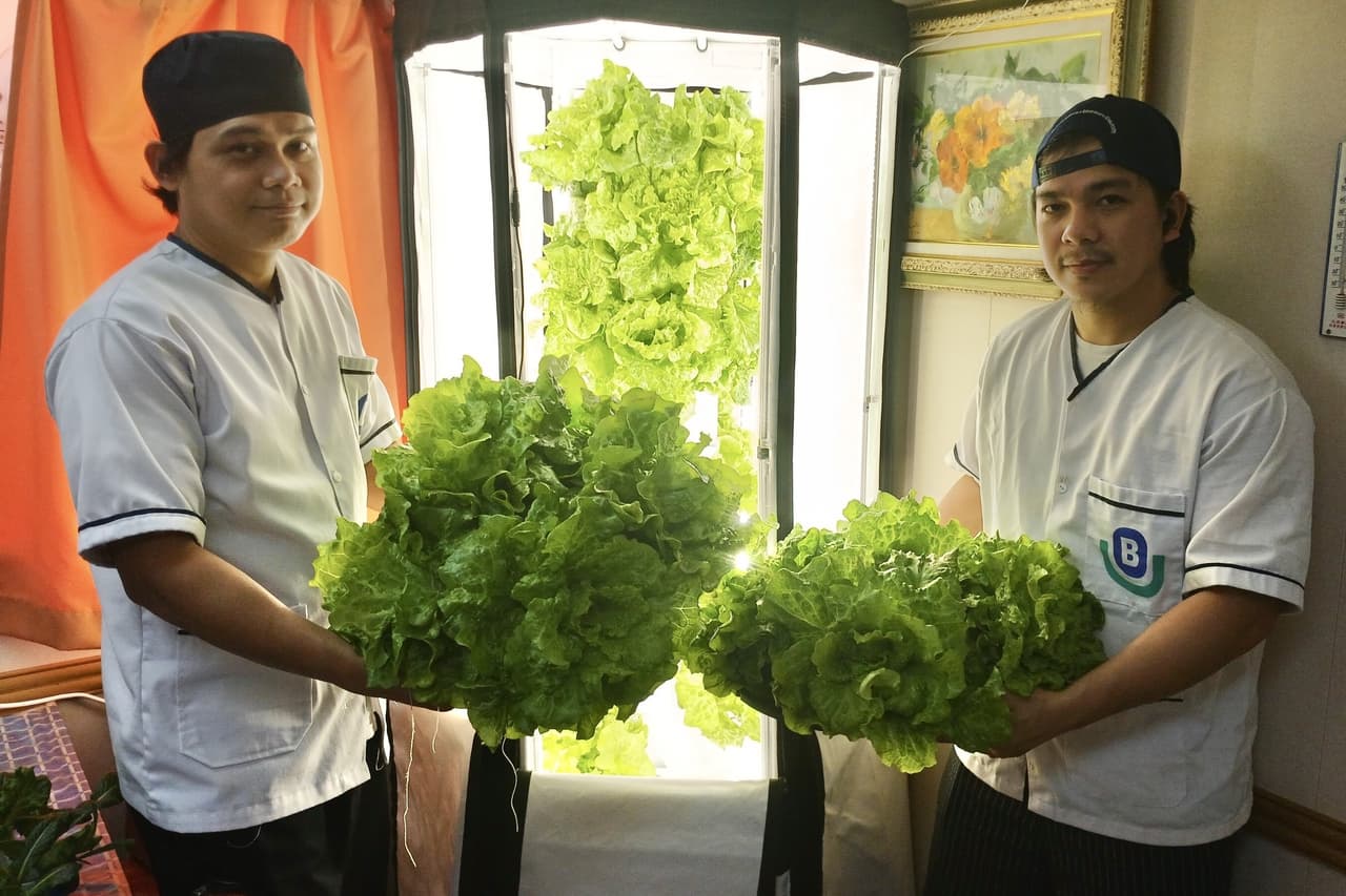 Berge Bulk Harvests One Metric Tonne of Fresh Produce at Sea