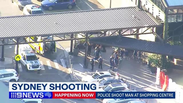 Man shot dead by police called to shopping centre brawl