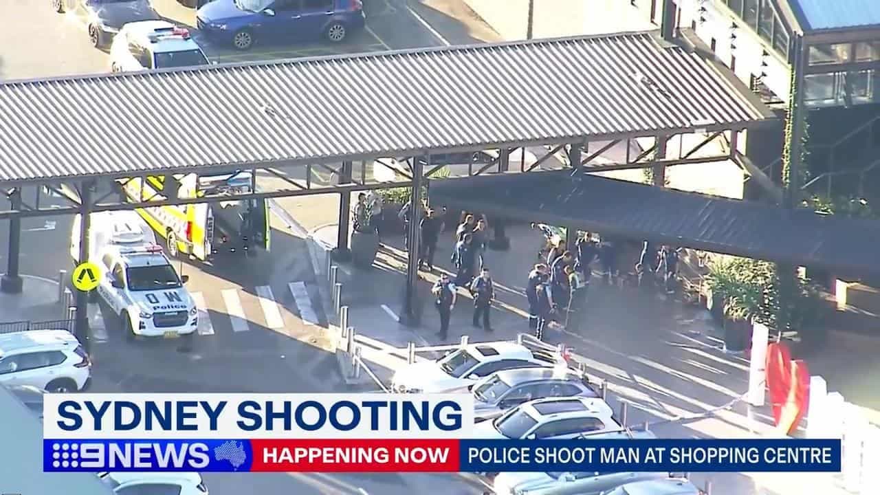 'Brave' police hailed after shooting machete-armed man