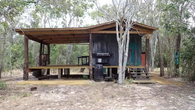 Rangers pounce after trees felled for dodgy island hut