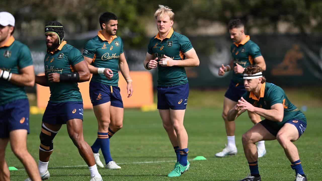 Son of Wallabies gun eyes Lions family history