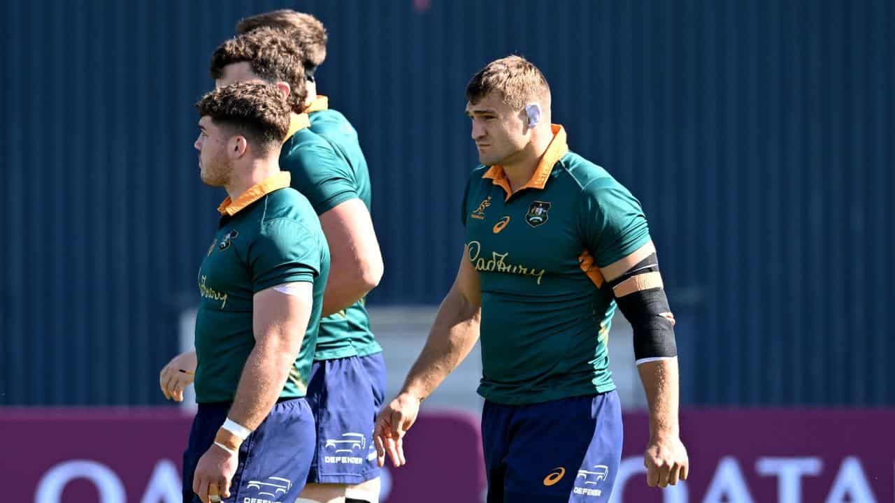 Wallabies throw 'psycho' bolter to Lions for debut