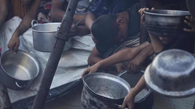 Crush at Gaza food hub kills 20 as crowd panics