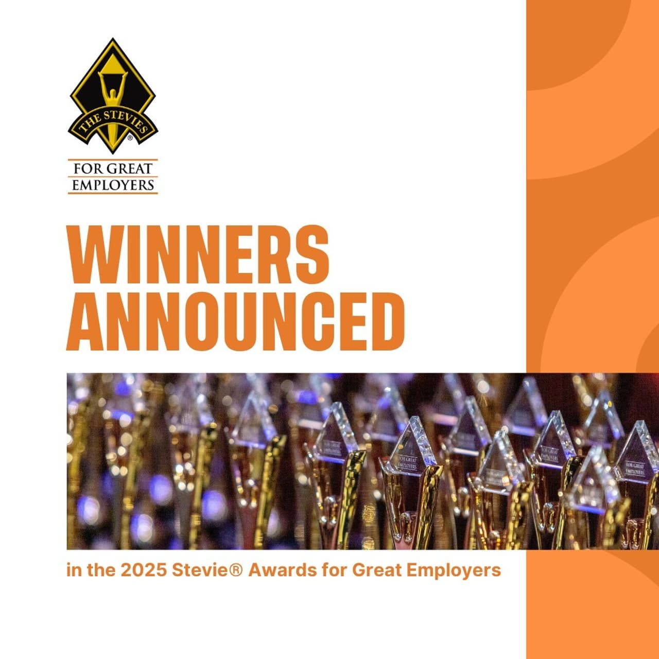 Winners in 2025 Stevie® Awards for Great Employers Announced