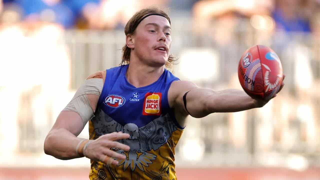It will be on for young and old: Tigers ready for Reid