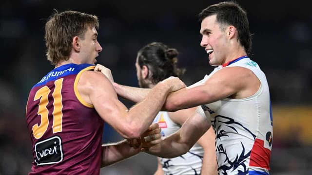 No more tomorrows for desperate Dogs