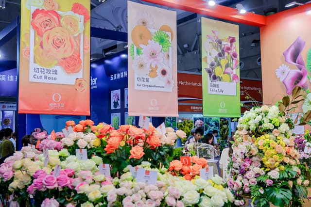 Kunming to Host the 23rd Kunming International Flower Expo, Showcasing Global Floriculture Innovations