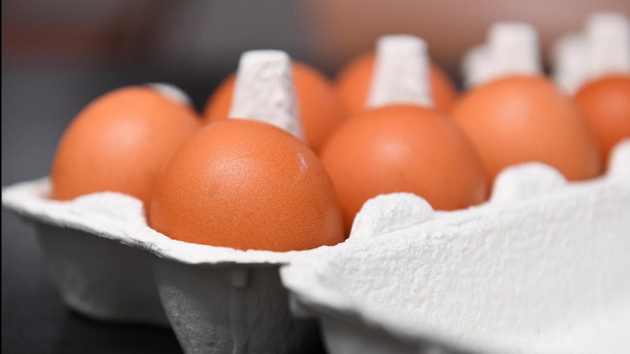 Egg yolk COVID claim not all it's cracked up to be