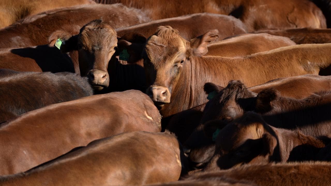 Risk of higher US tariffs looms despite beef deal