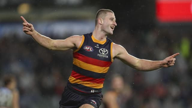 That's not our job: Crows coach keeps lid on