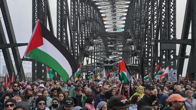 Recognising Palestine 'would bring an end to Hamas'