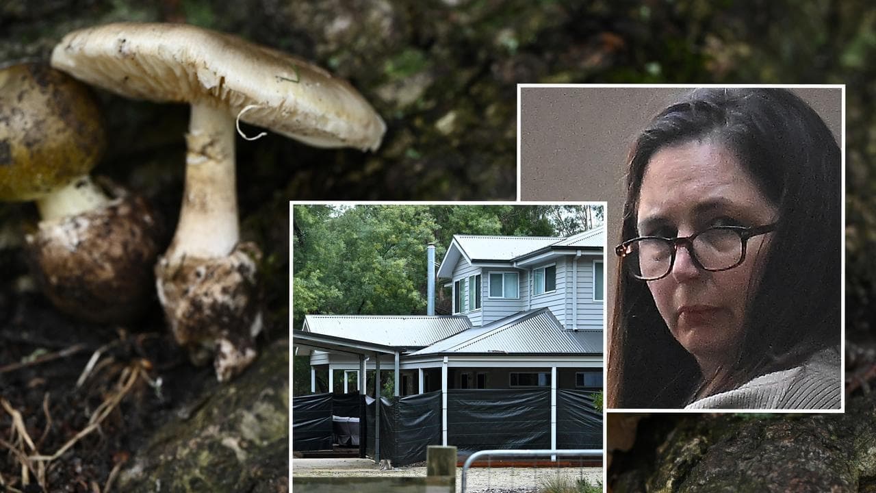 Mushroom murderer returns to court as sentencing looms