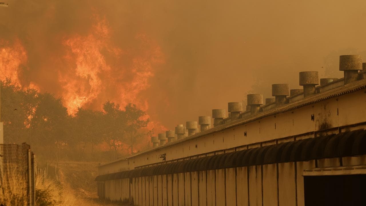 Alleged arsonist arrested over Spain wildfire
