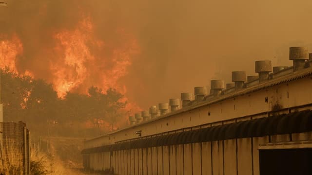 Alleged arsonist arrested over Spain wildfire