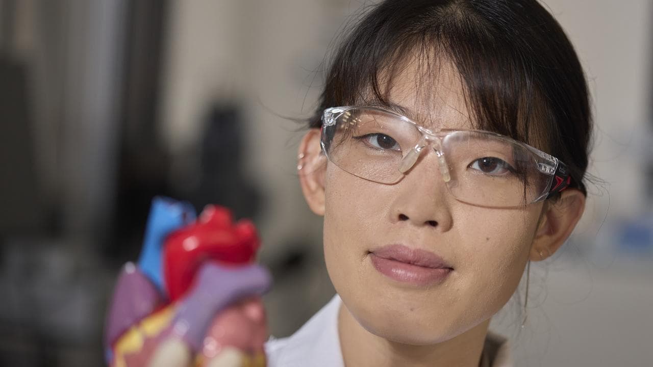 Mini hearts to save cancer survivors from heart disease