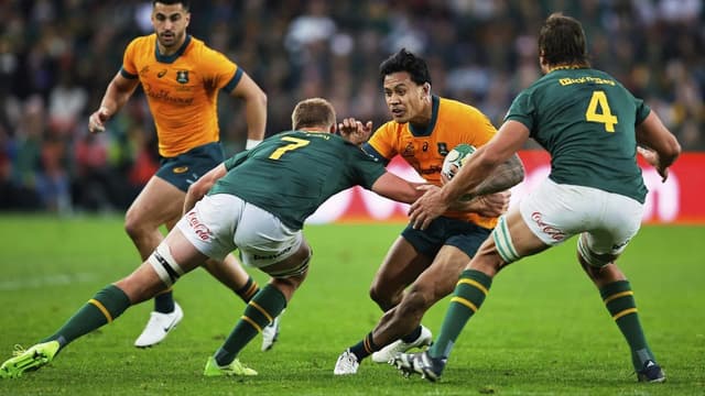 Wallabies up the physicality for smarting Springboks