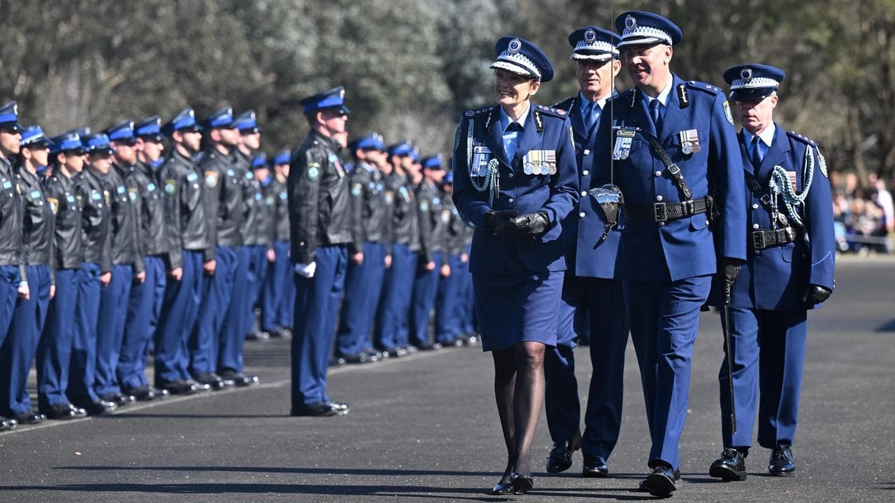 Retiring police boss hailed for work on family violence