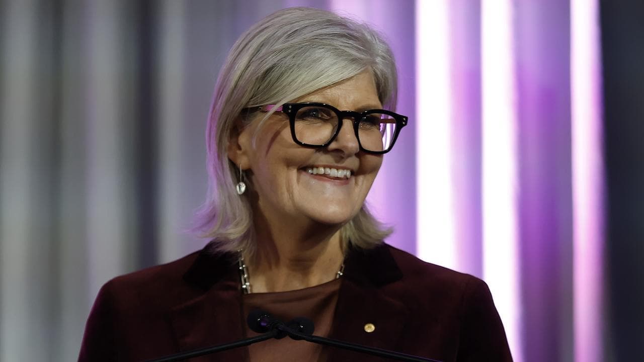 GG lauds diversity and civics as defence for democracy