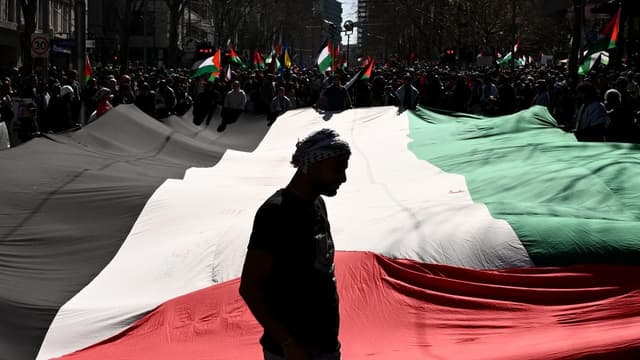 Thousands flood cities demanding action on Palestine