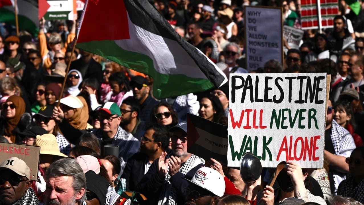 'Enough is enough': Palestine support swells