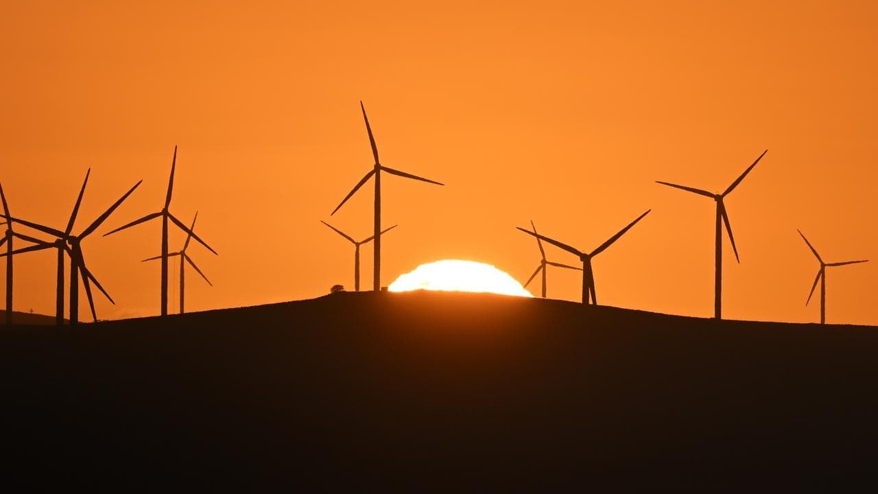 'Broken' nature laws fast-tracked but details up in air