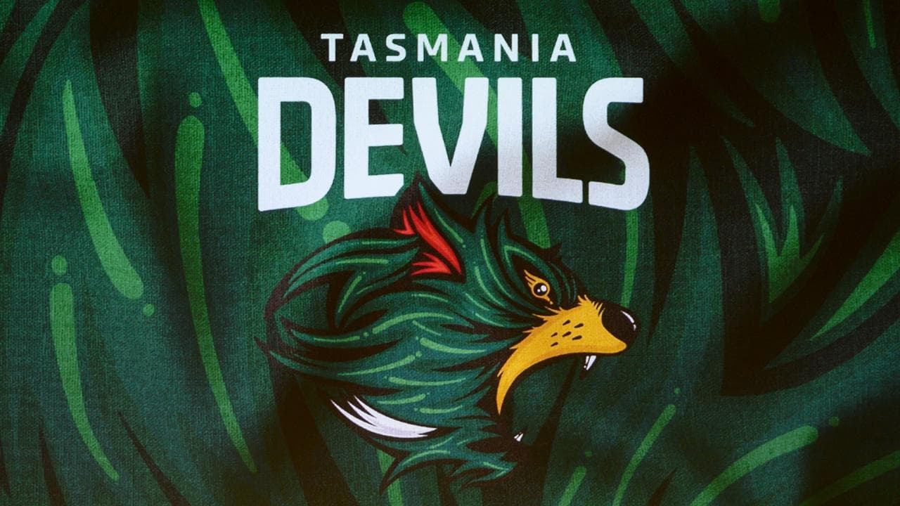 Devils bid to fast-track state league entry on AFL path