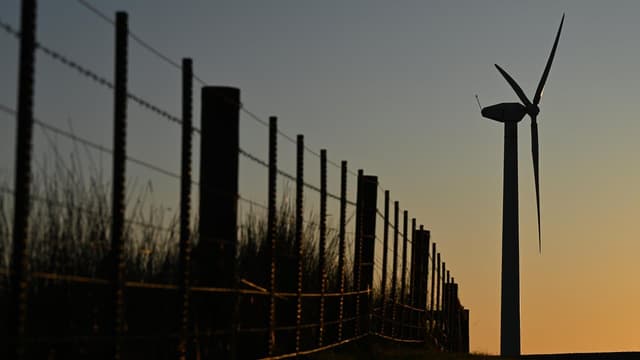 Wind farm fans 'death row' fears for endangered species