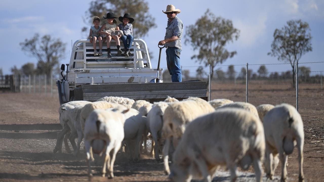 Busting the tough bush stereotypes, rural dads open up