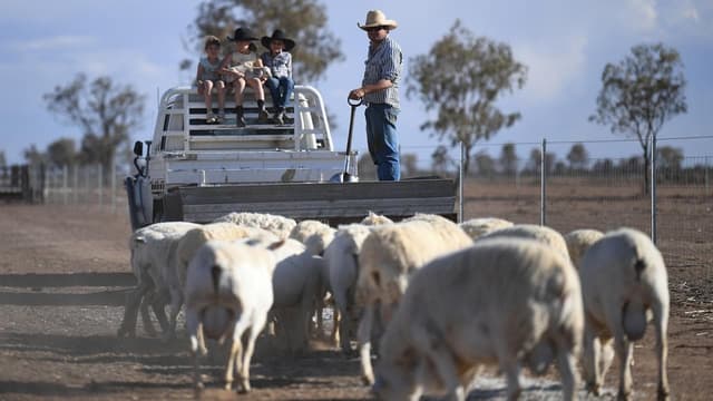 Busting the tough bush stereotypes, rural dads open up