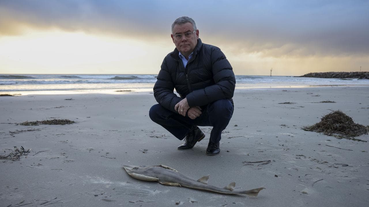 'Tough cop' needed to protect Australia's environment