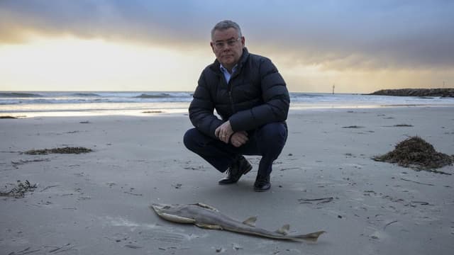 'Tough cop' needed to protect Australia's environment