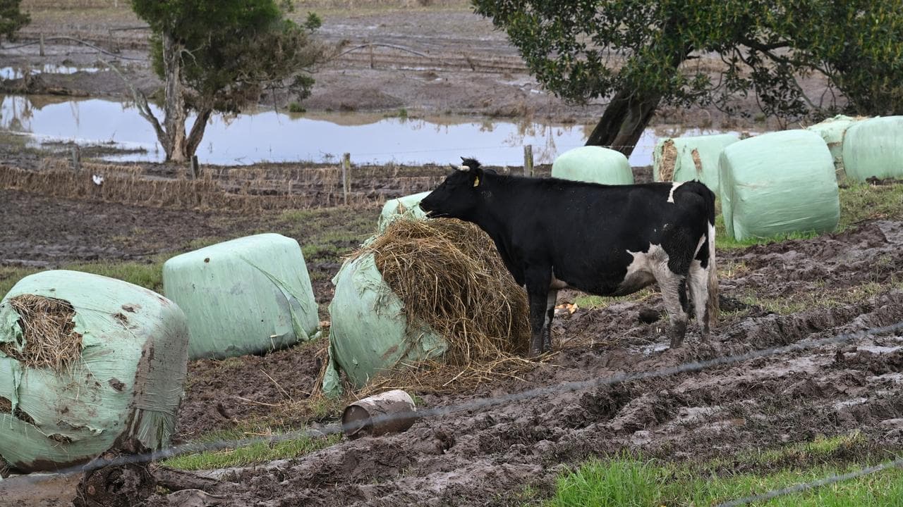 Farmers still waiting on flood 'rapid' recovery grants