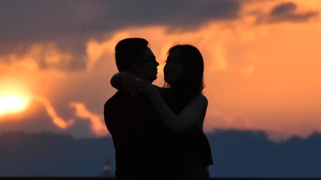 Dil-don't share your data with an online sex toy server