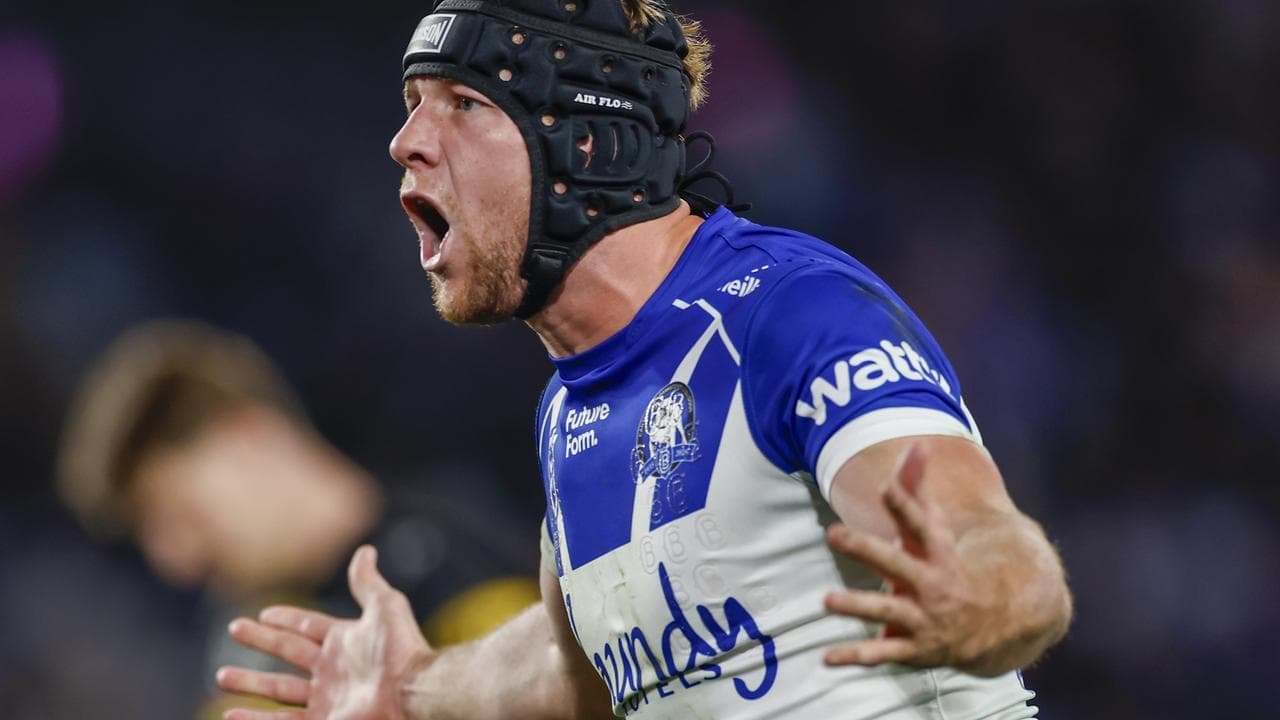 Disobedient Dogs at risk of being bitten by rap sheet