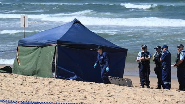 Beloved shark attack victim mourned as net trial paused