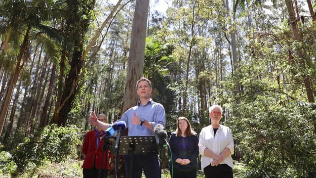 Massive koala park plan to give logging the chop