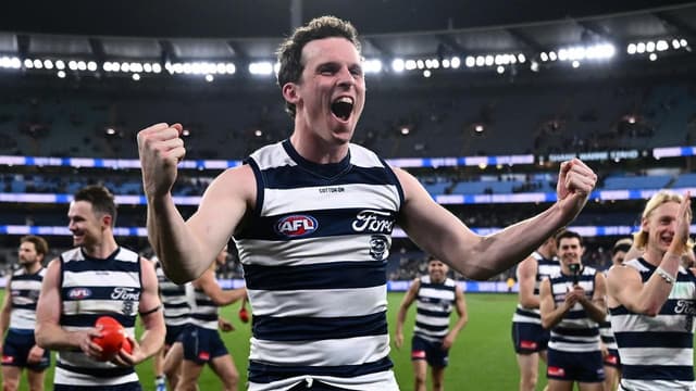 Geelong silenced 'haters' with Lions win: star Cat