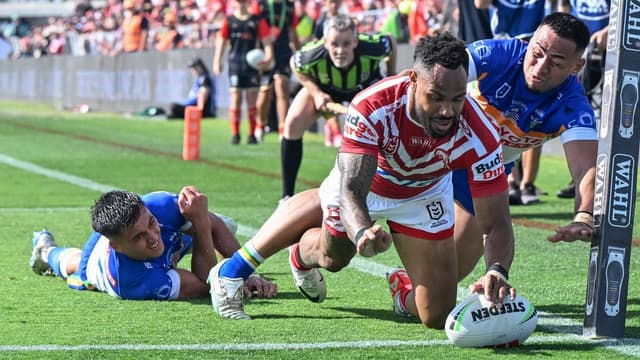 Dolphins secure best-ever season, Hammer injured