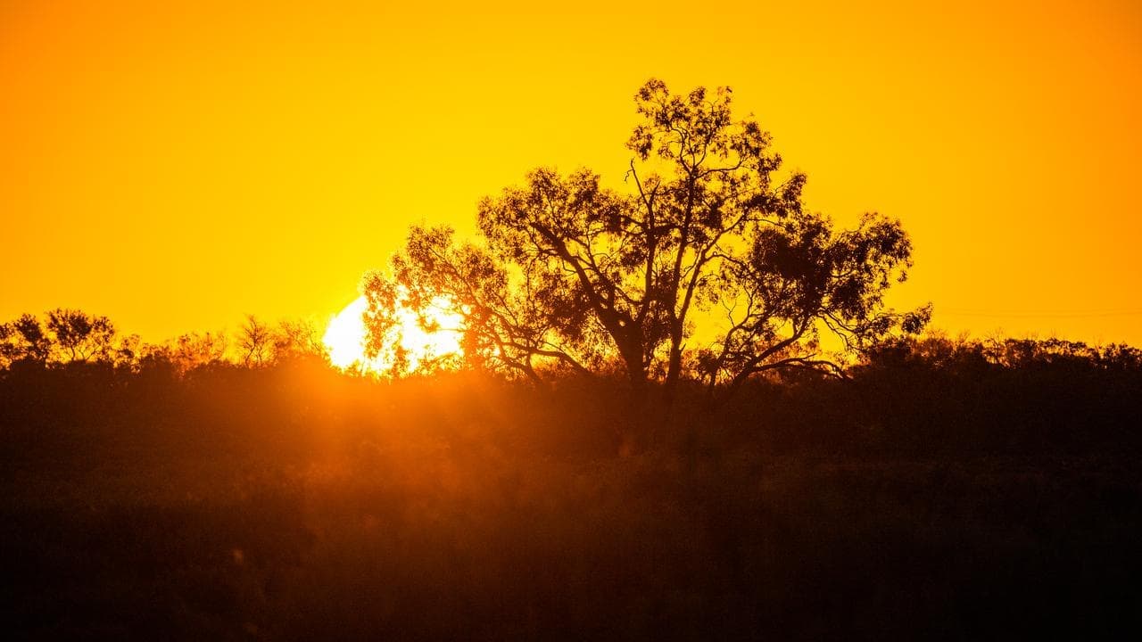 Tree-change trend slows but regions remain attractive