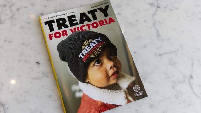 'Grave disrespect': treaty referendum call dismissed