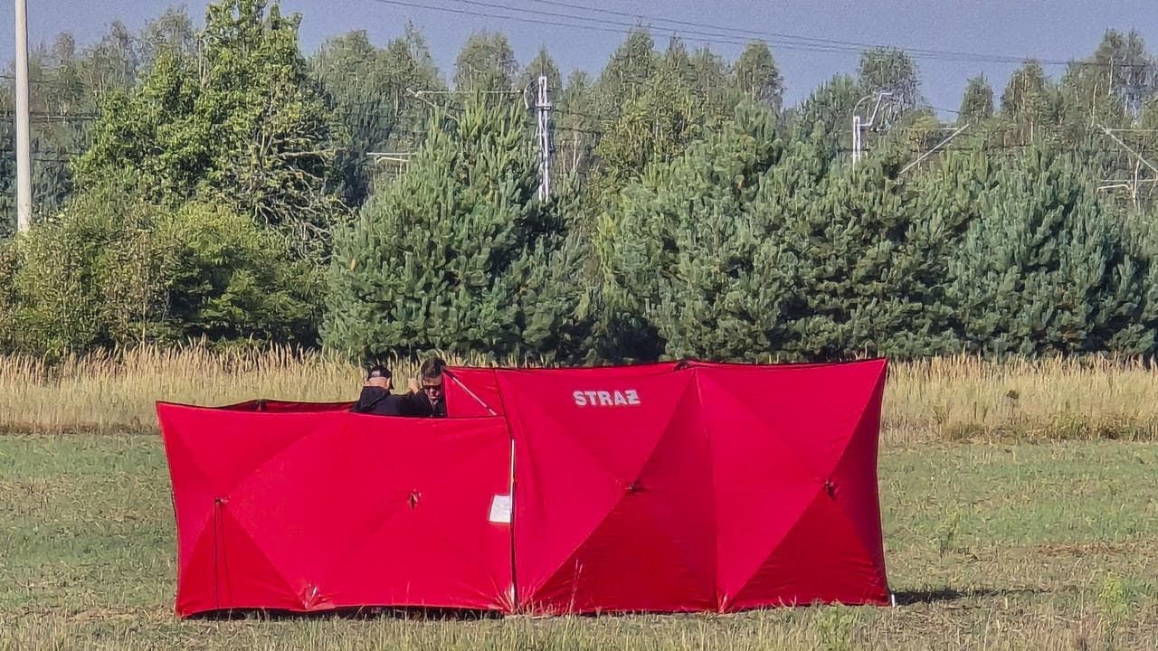 Poland becomes first NATO member to fire in Ukraine war