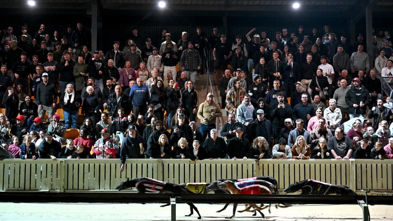 Dapto gone to the dogs as greyhound venue runs its race