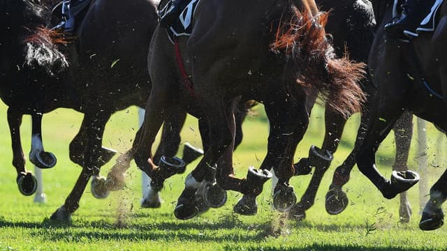 Officials placed hundreds of bets on races over years