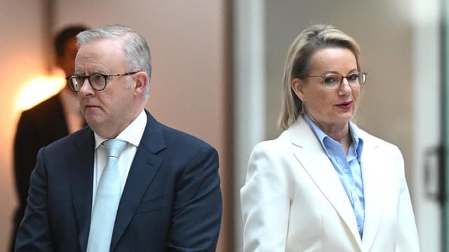 'Lot of work to do': coalition slump to polling low