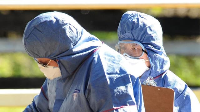 Biosecurity plan to protect state's primary industries